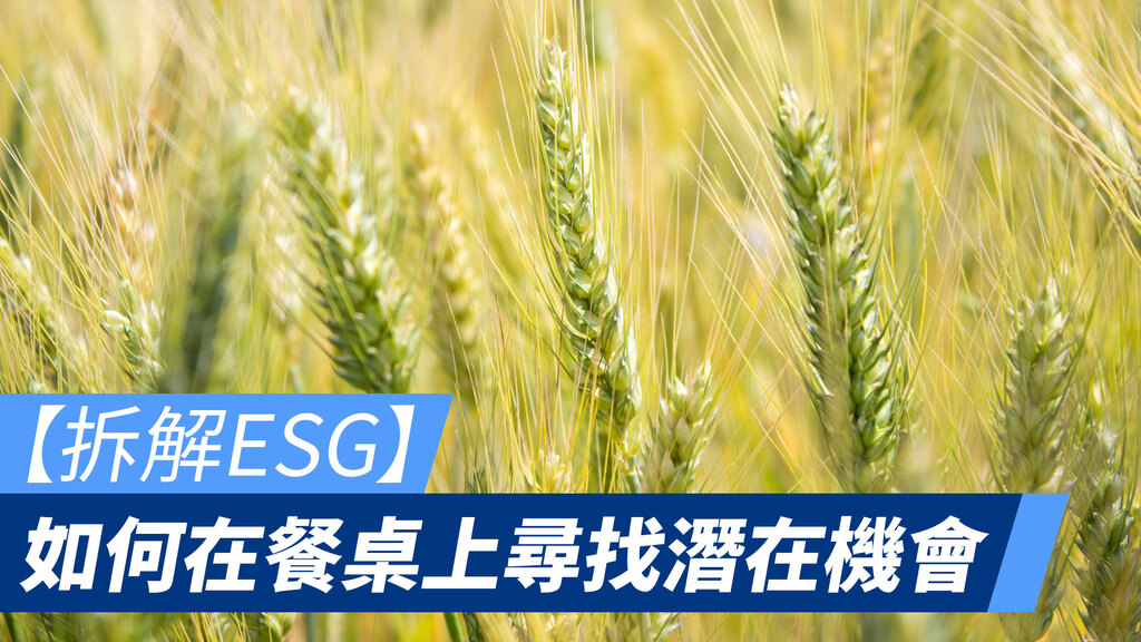 如何在餐桌上尋找潛在機會